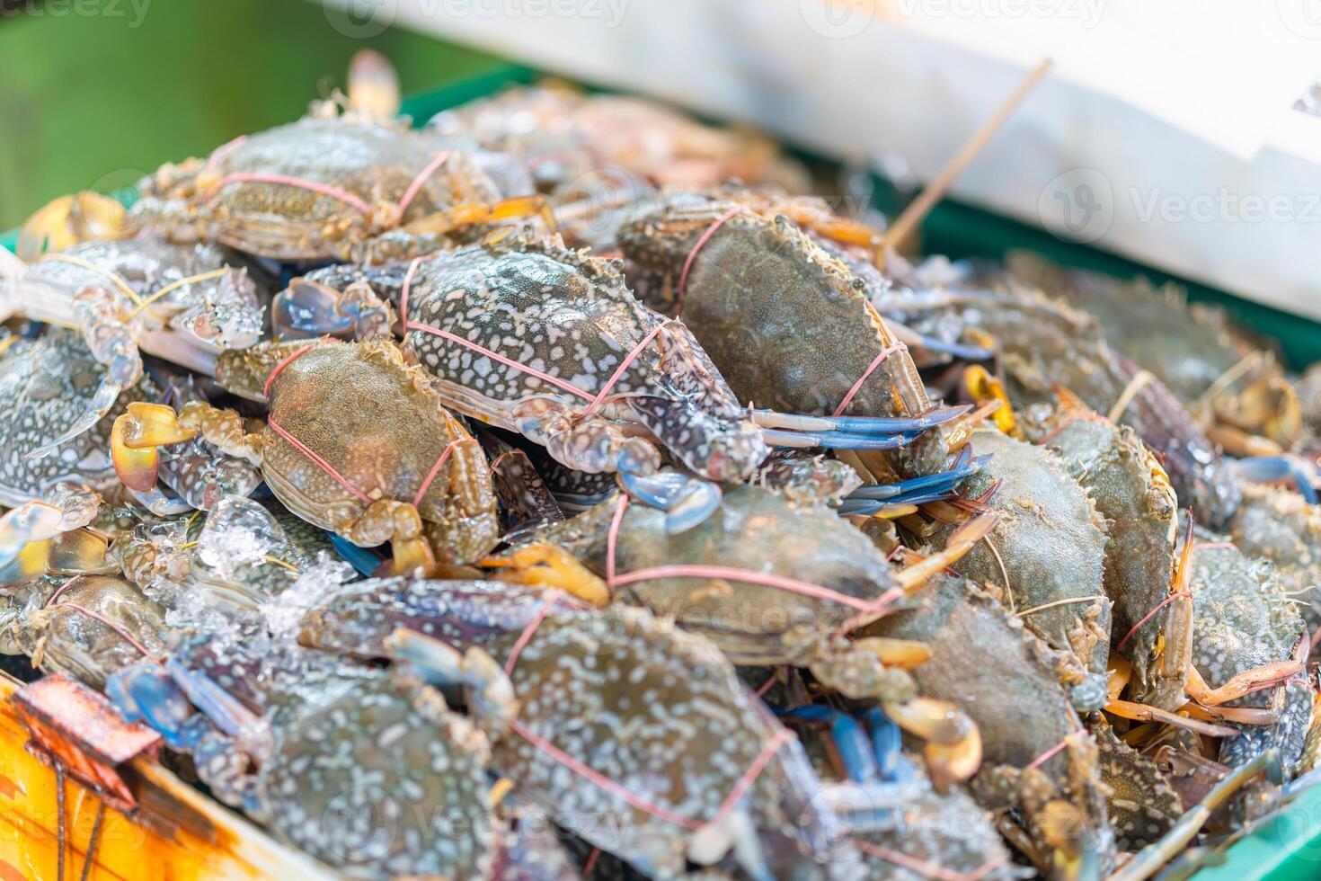 Blue swimmer crabs, Sea crab, Fresh sea crabs in a fishery seafood market photo