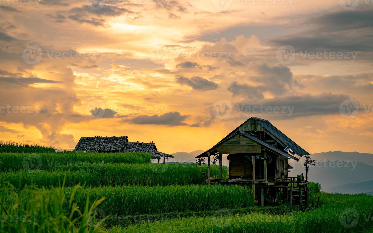 Landscape of rice terrace and hut with mountain range background and beautiful sunrise sky. Nature landscape. Green rice farm. Terraced rice fields. small house is on a hillside next to a rice field. photo