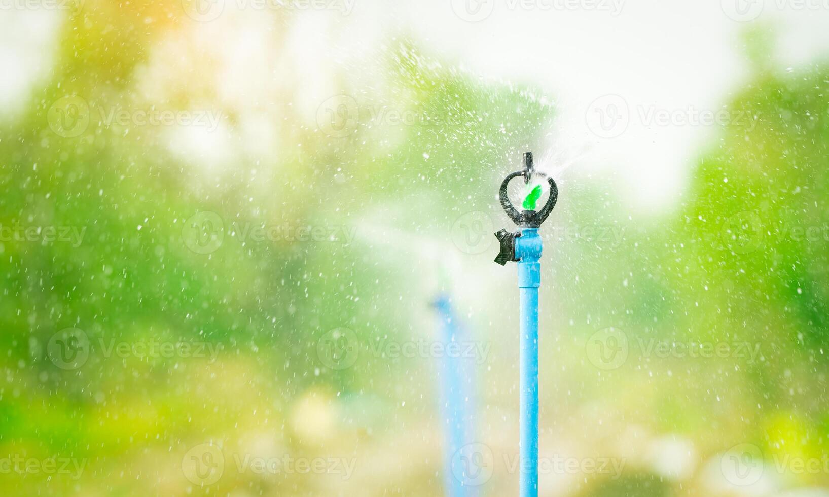 Automatic sprinkler watering green plant garden. Sustainable agriculture. Sprinkler for agriculture. Garden irrigation system. Sprinkler maintenance services. Water splashing. System for plant care. photo