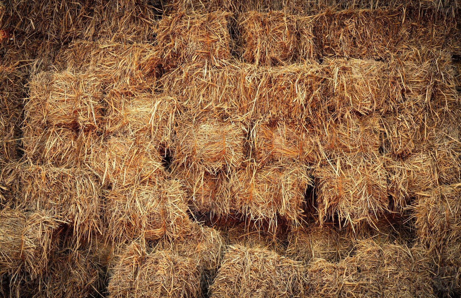 Dry straw bale and agricultural byproducts. stacked yellow straw bales for animal fodder and livestock bedding. Straw bales in sustainable farming. Agricultural byproducts. Agricultural practices. photo