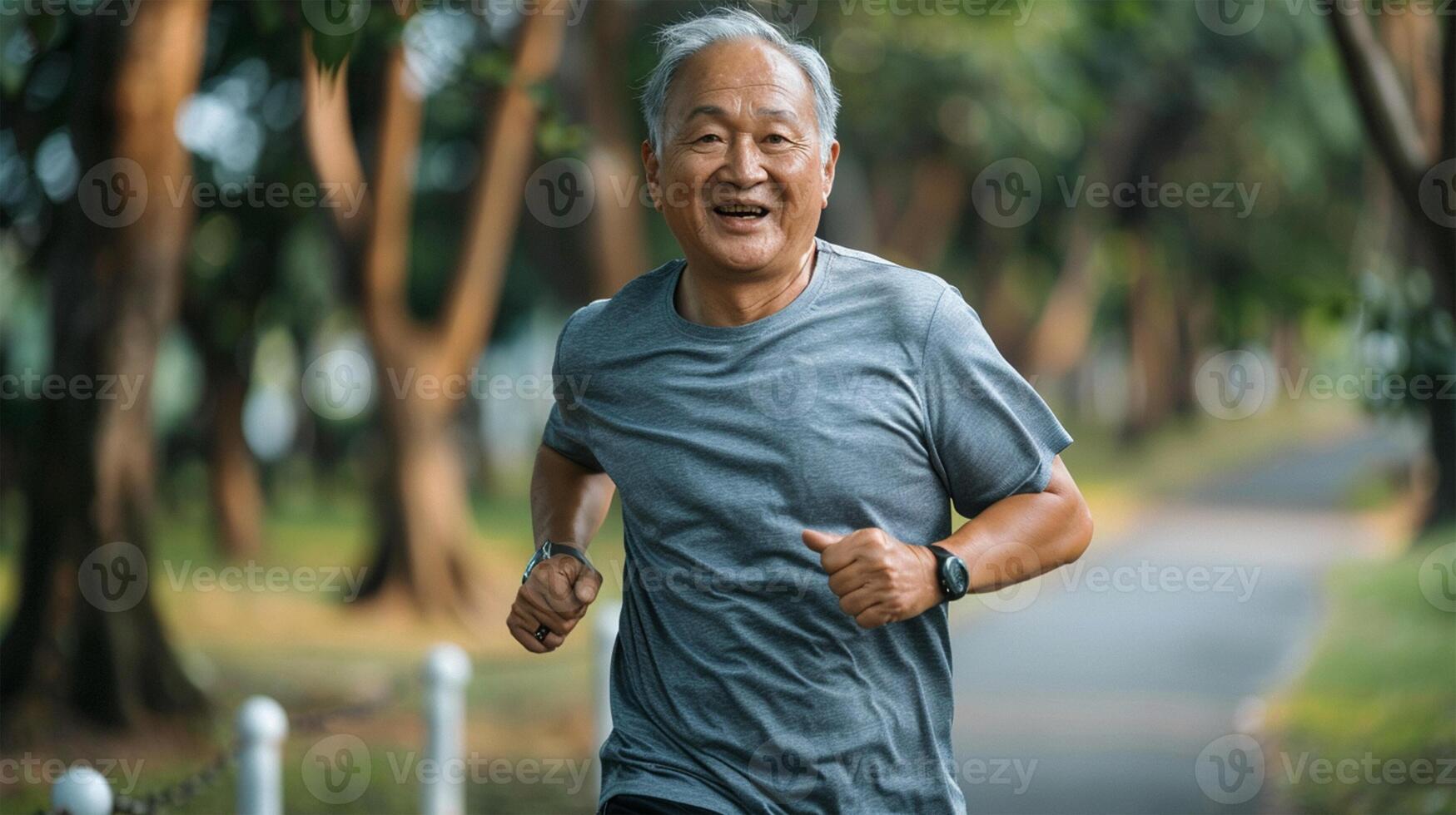 Portrait of Asian senior man smiling and looking at camera in the park photo