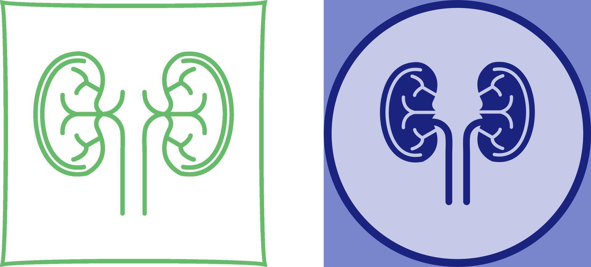 Kidney Icon Design vector