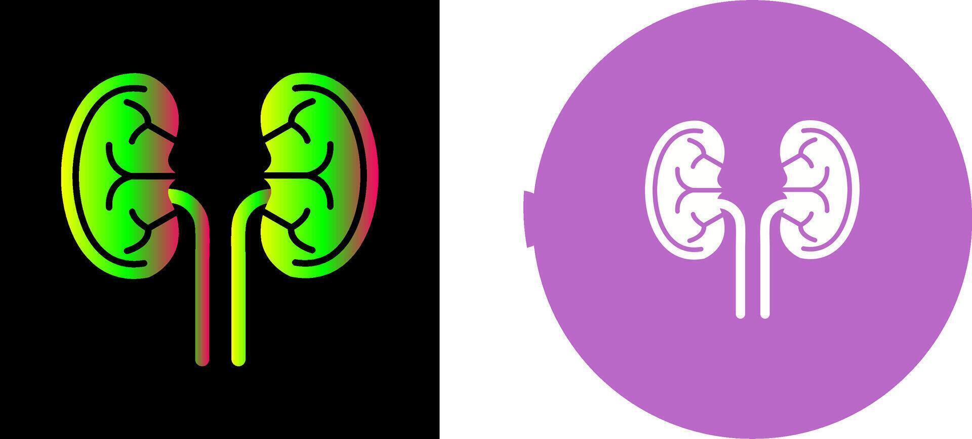 Kidney Icon Design vector