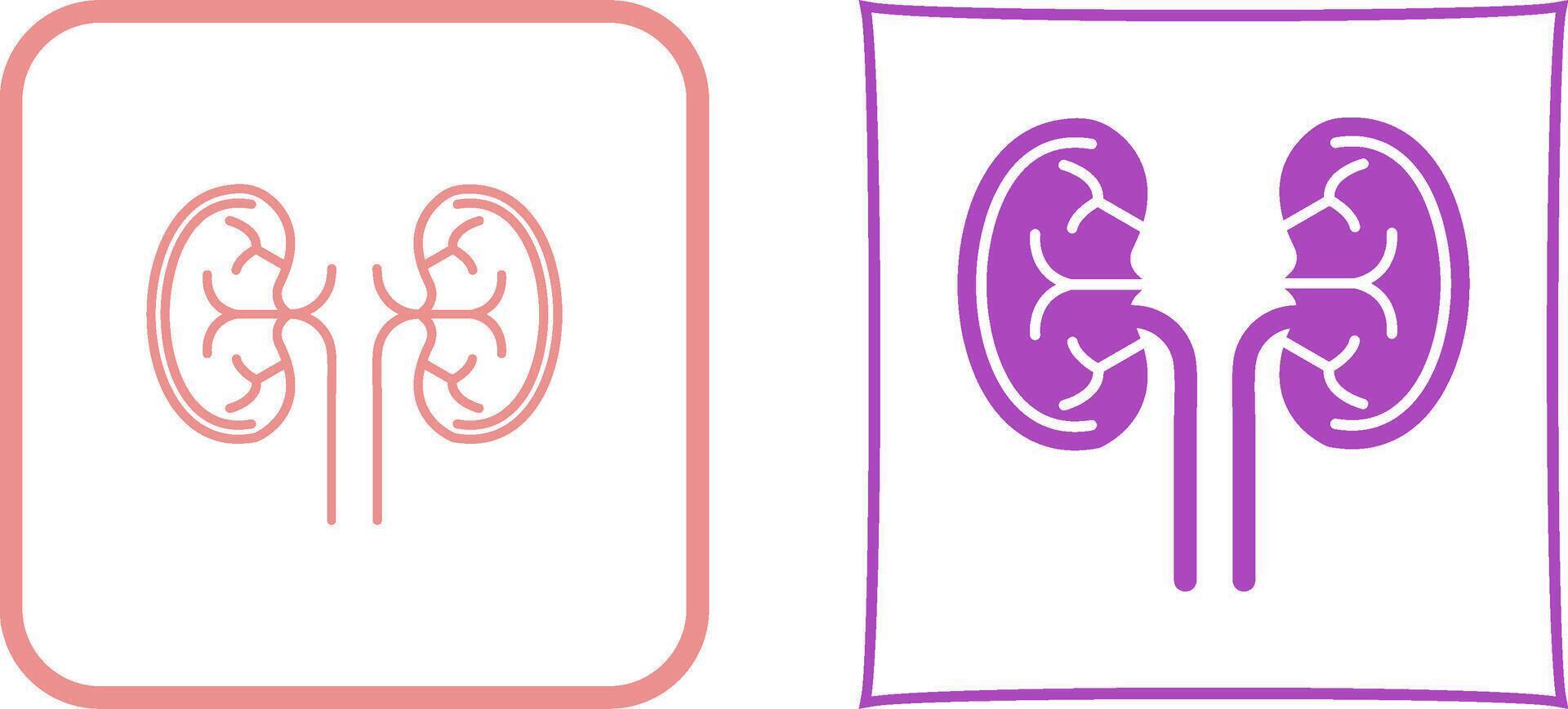 Kidney Icon Design vector
