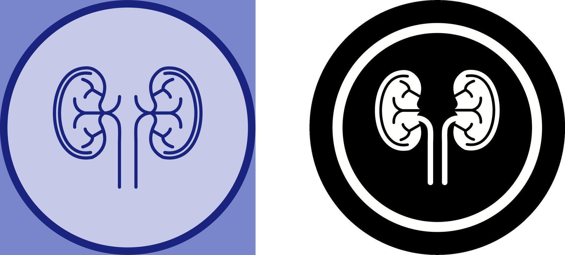 Kidney Icon Design vector