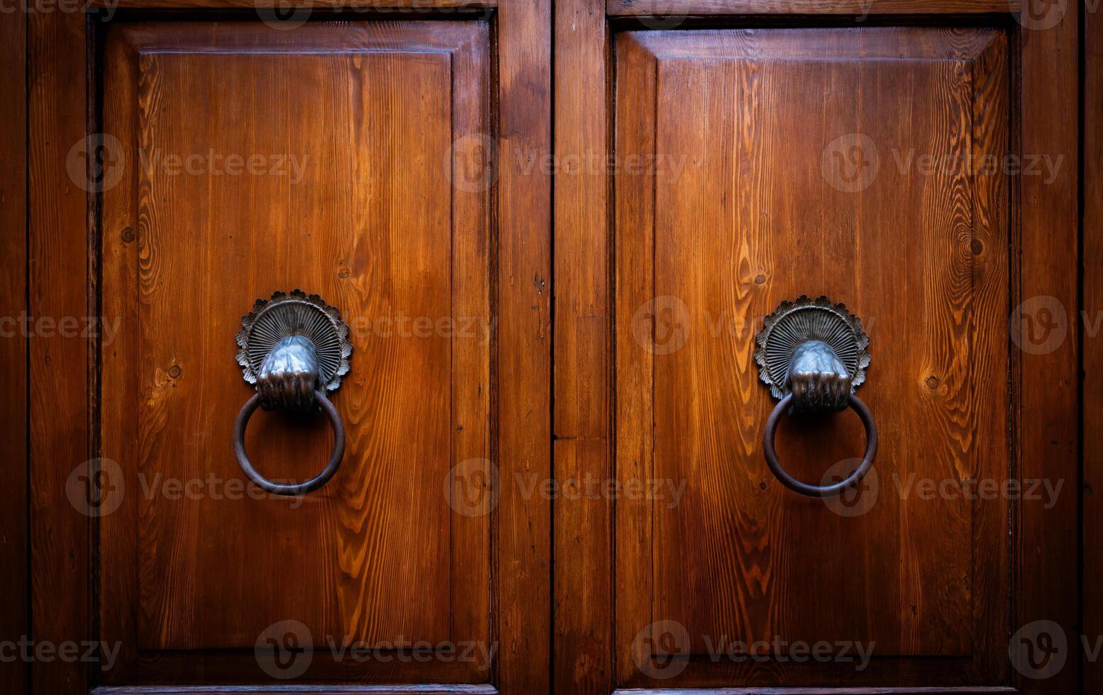 Mysterious old door entrance. Dark light. Abstract concept of secret, horror and magic photo