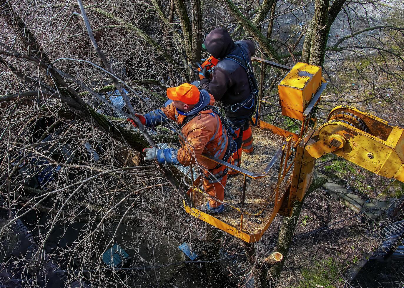 Dnepr, Ukraine - 03.20.2024 Municipal service workers stand with a chainsaw in a crane basket and trim dangerous trees. photo