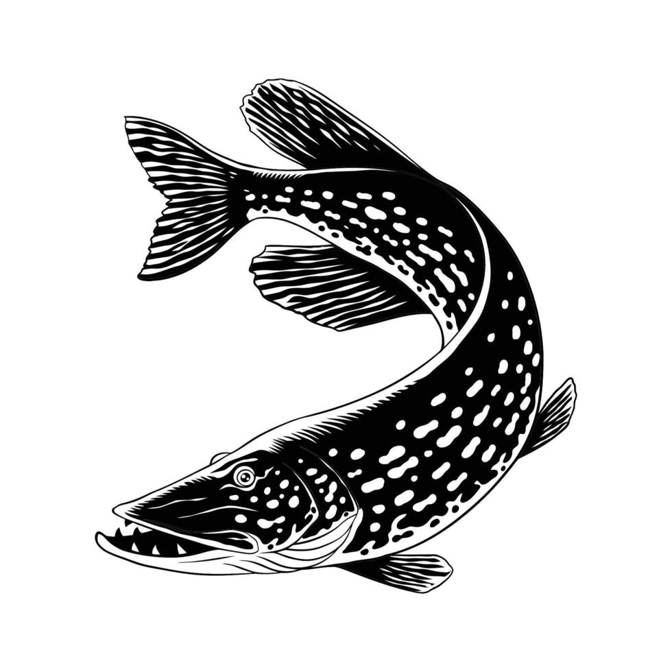 lucio pescado negro y blanco ilustración vector