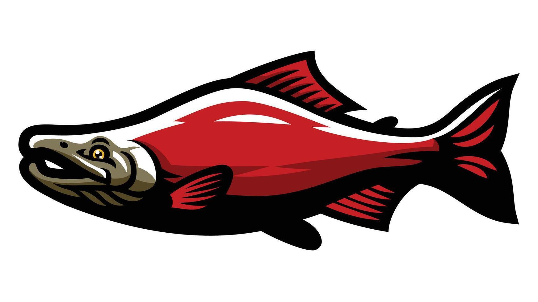 Sockeye Salmon Fish Mascot Illustration vector
