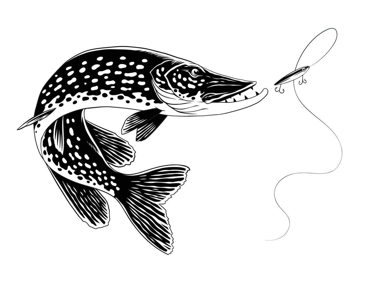 Pike Fish Illustration in Vintage Hand Drawn Style vector
