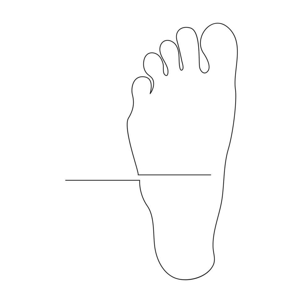Foot elegance female leg in Continuous one line drawing illustration art design vector
