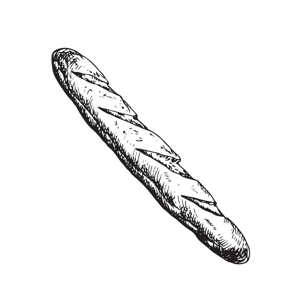 graphic illustration of baguette . Black and white sketch on a white background. Suitable for logo, bakery design, wrapping paper vector