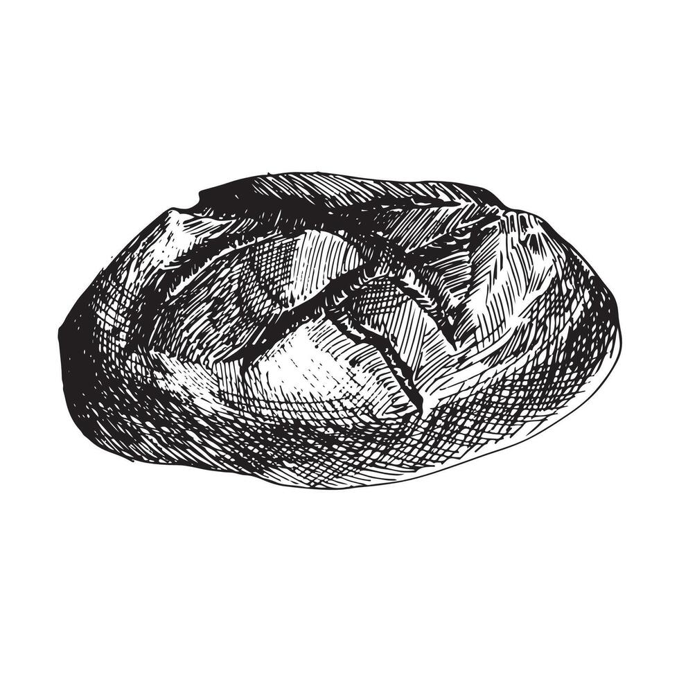 graphic illustration of bread . Black and white sketch on a white background. Suitable for logo, bakery design, wrapping paper vector