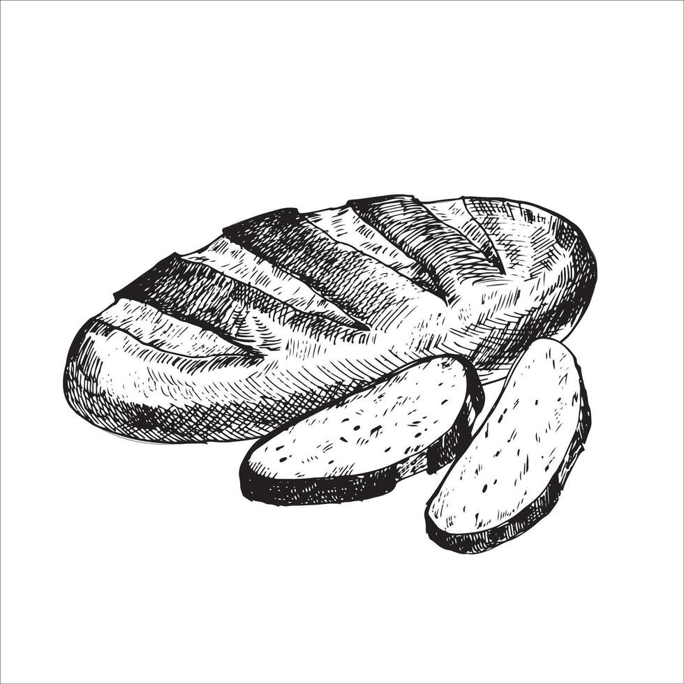 graphic illustration of bread with sliced pieces. Black and white sketch on a white background. Suitable for logo, bakery design, wrapping paper vector