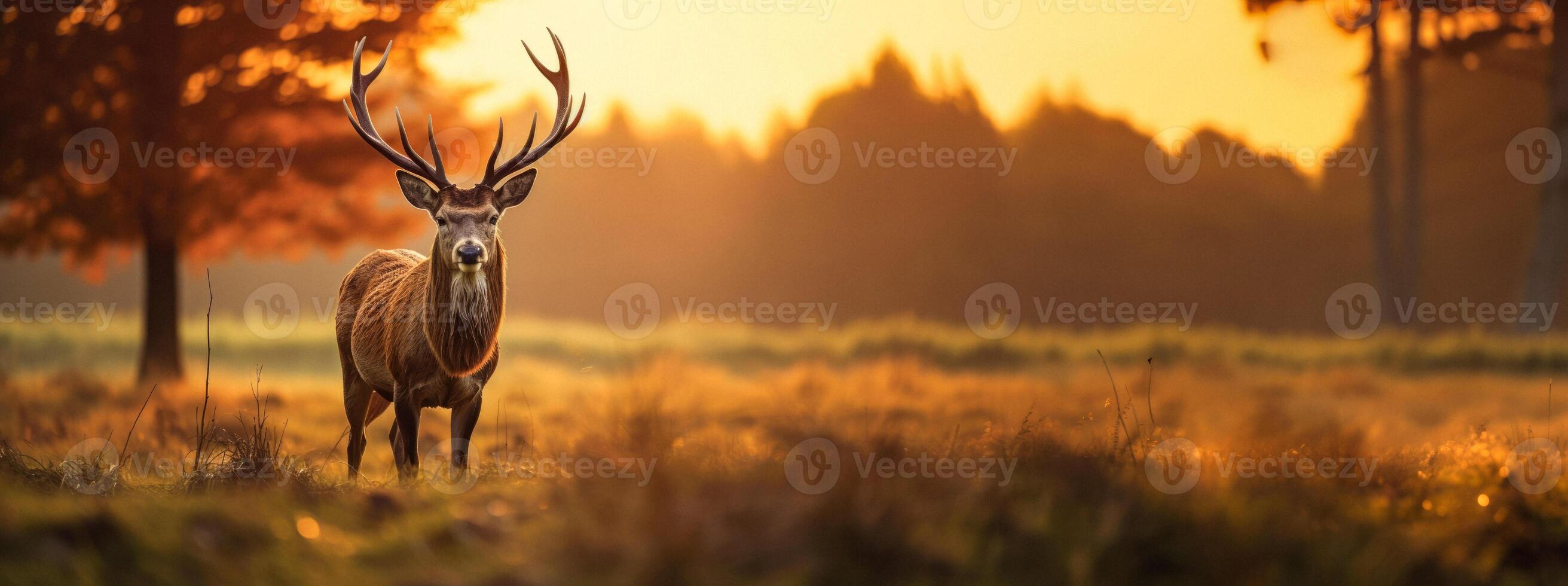 AI generated deer with antlers in the wild Generative AI photo