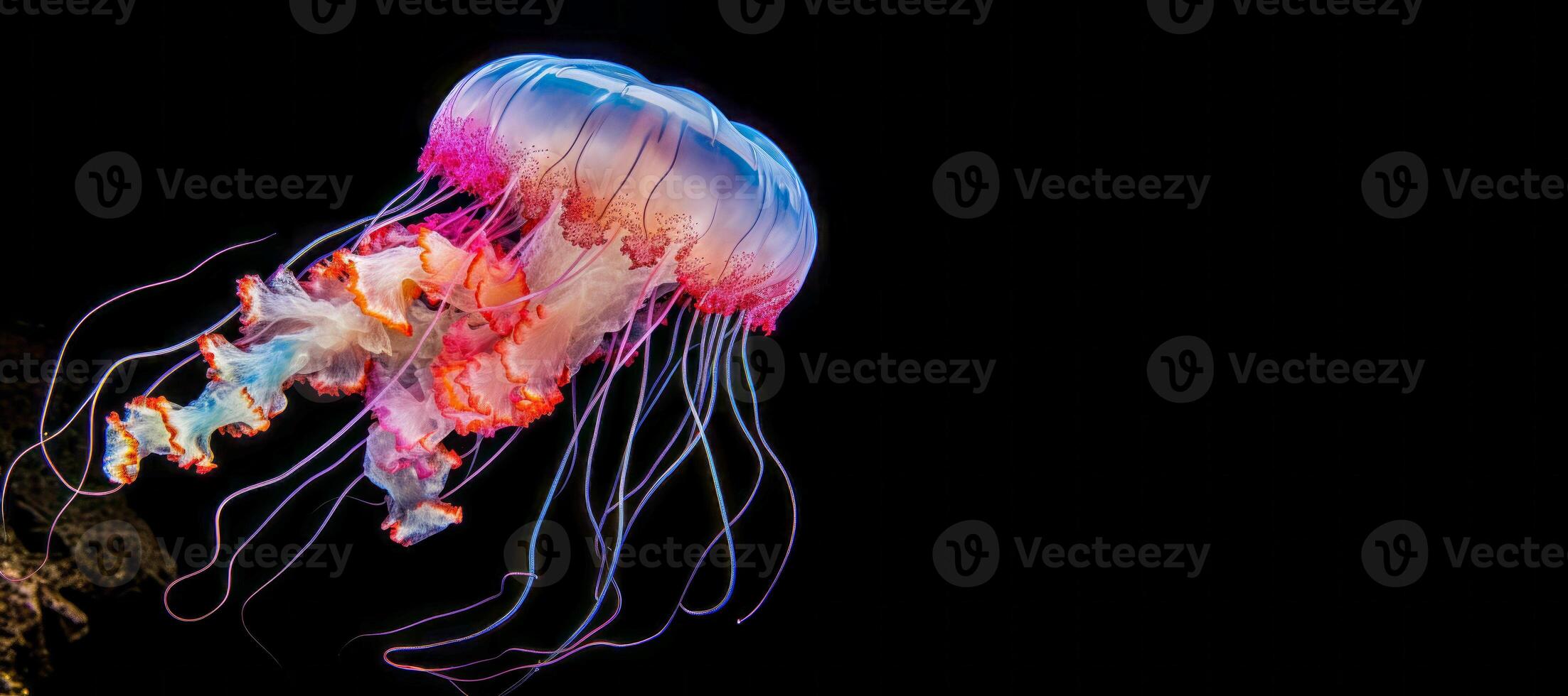 AI generated jellyfish on a black background Generative AI photo
