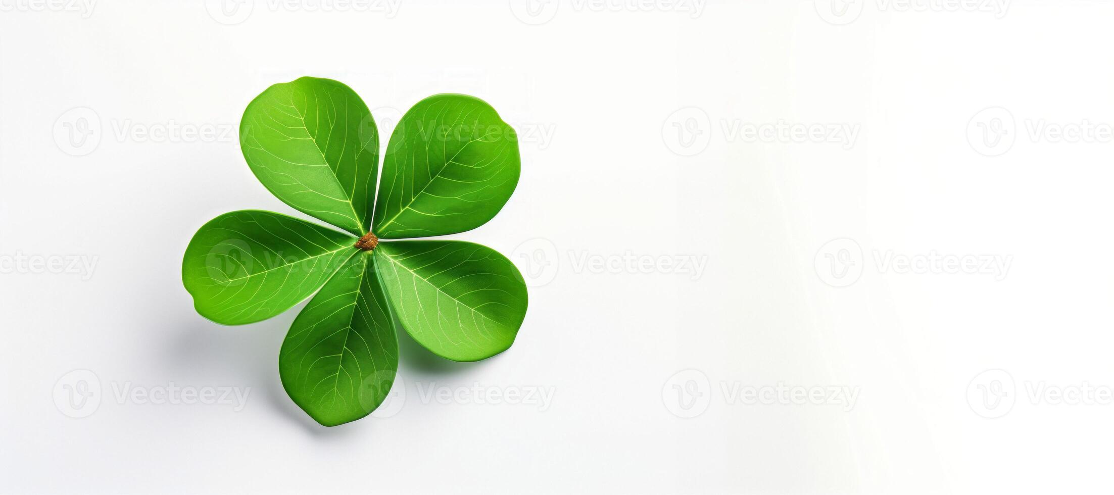 AI generated Irish clover on white background good luck Generative AI photo