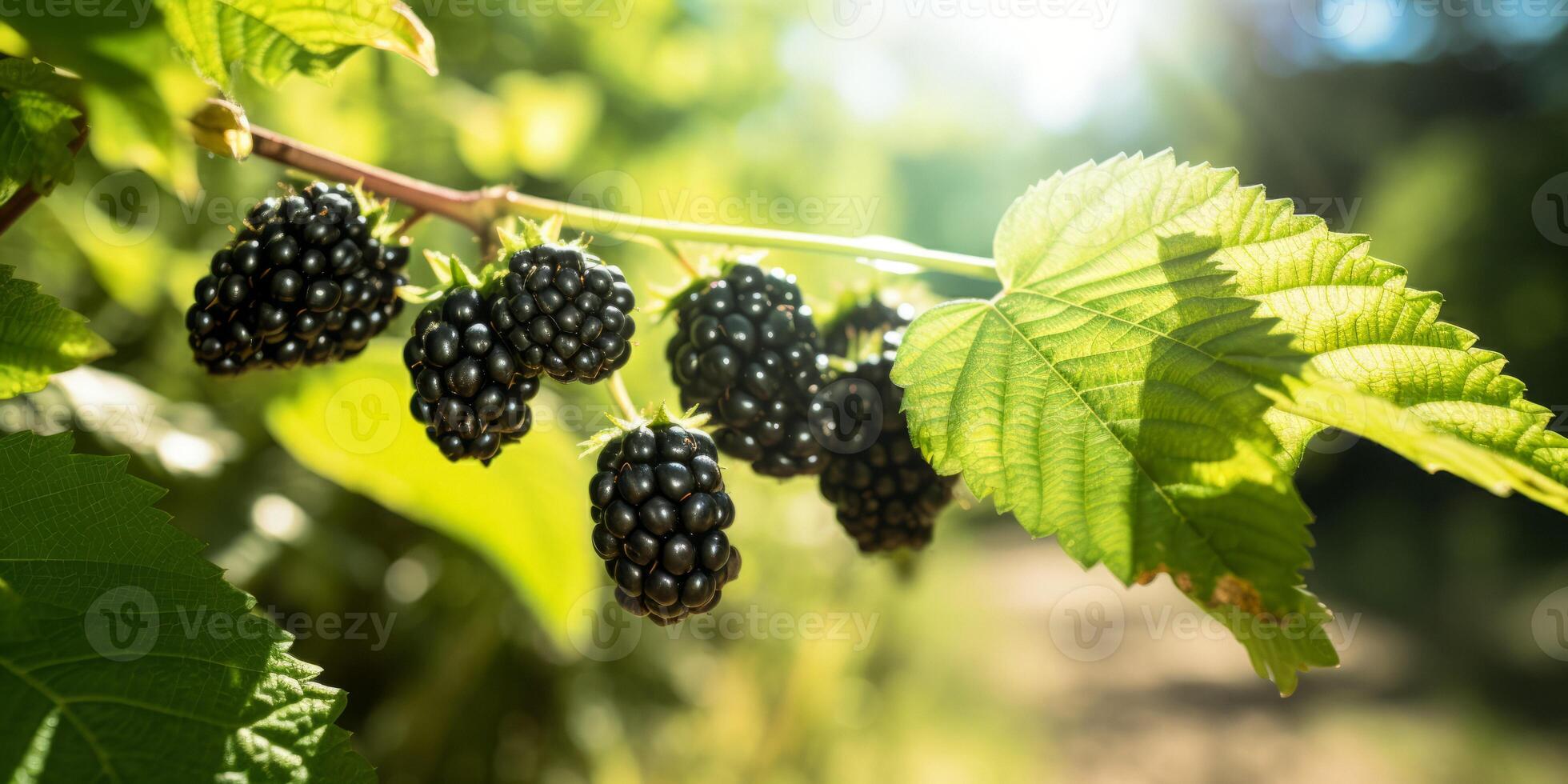 ai generado moras en leña menuda soleado día generativo ai foto