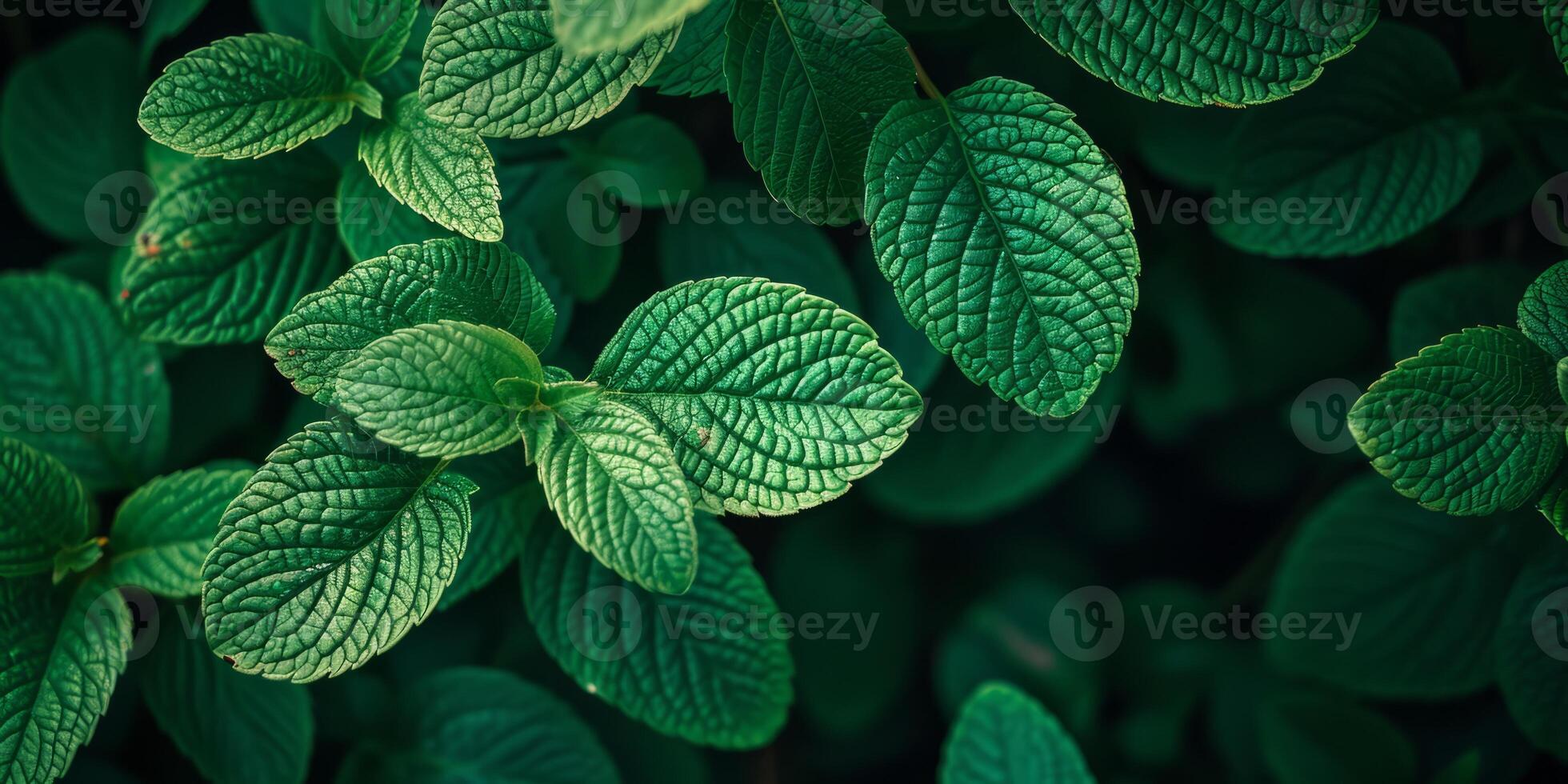 AI generated green leaves close-up texture, Generative AI photo