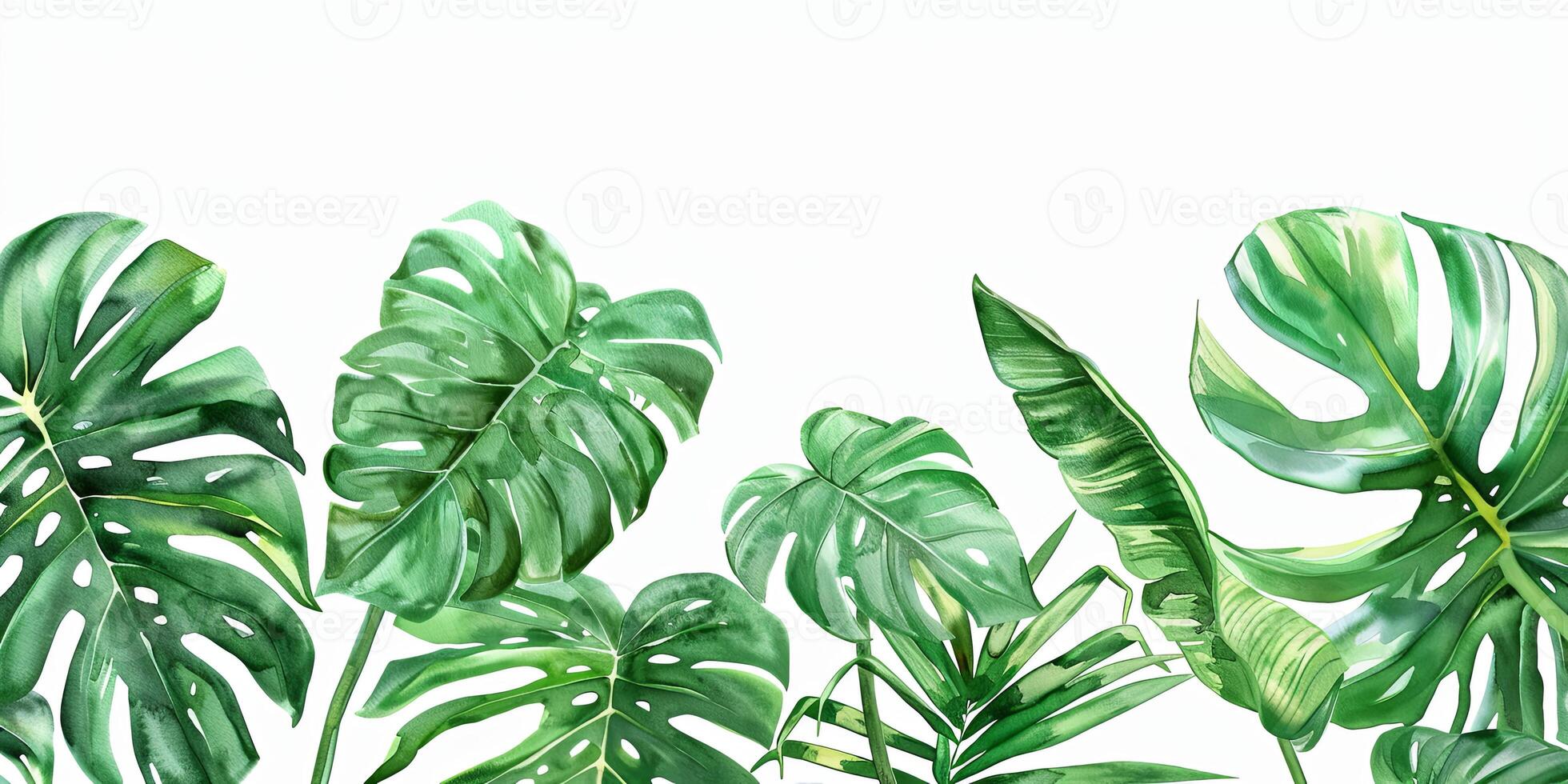 Abstract Botanical Florals background pattern photo