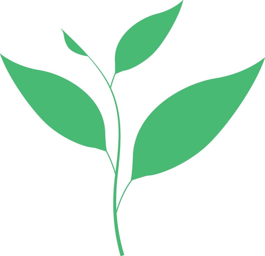 leaf tea flat icon vector