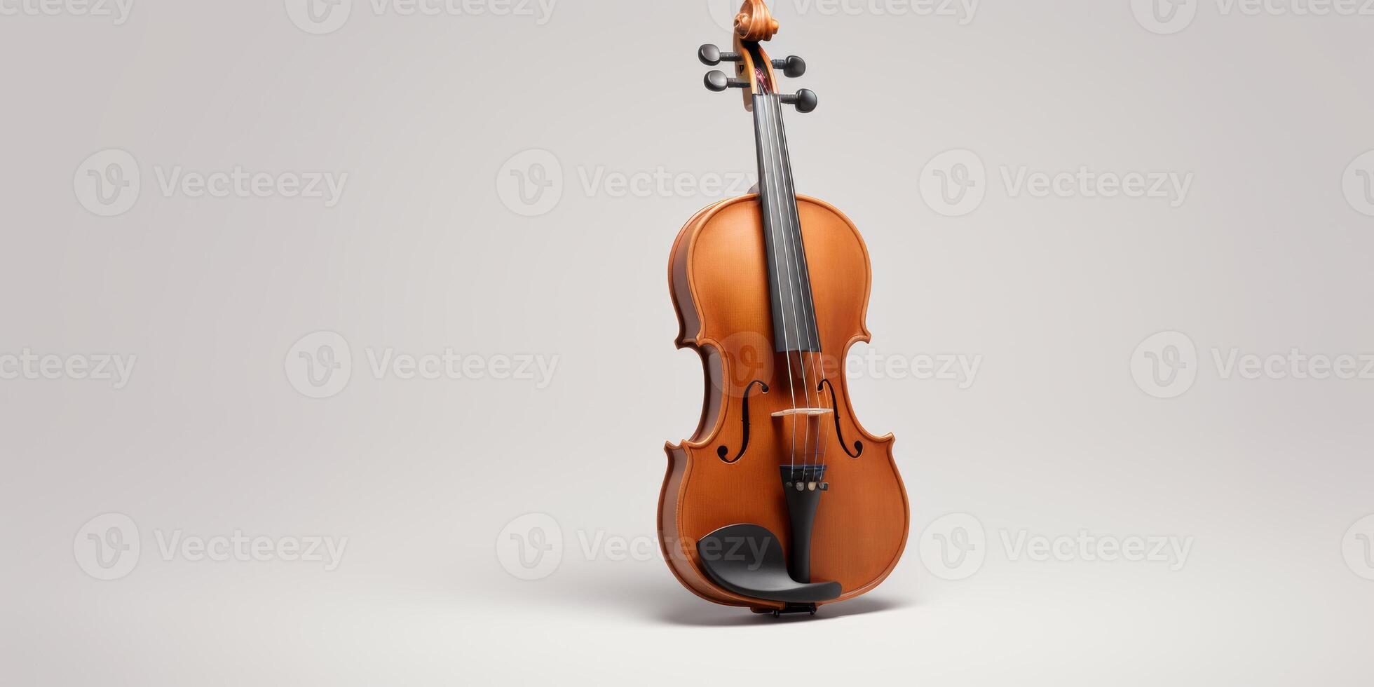 violin on white background photo