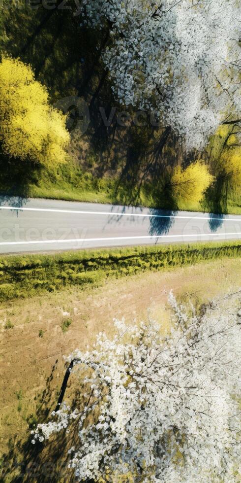 primavera flores a lo largo el la carretera ver desde encima foto