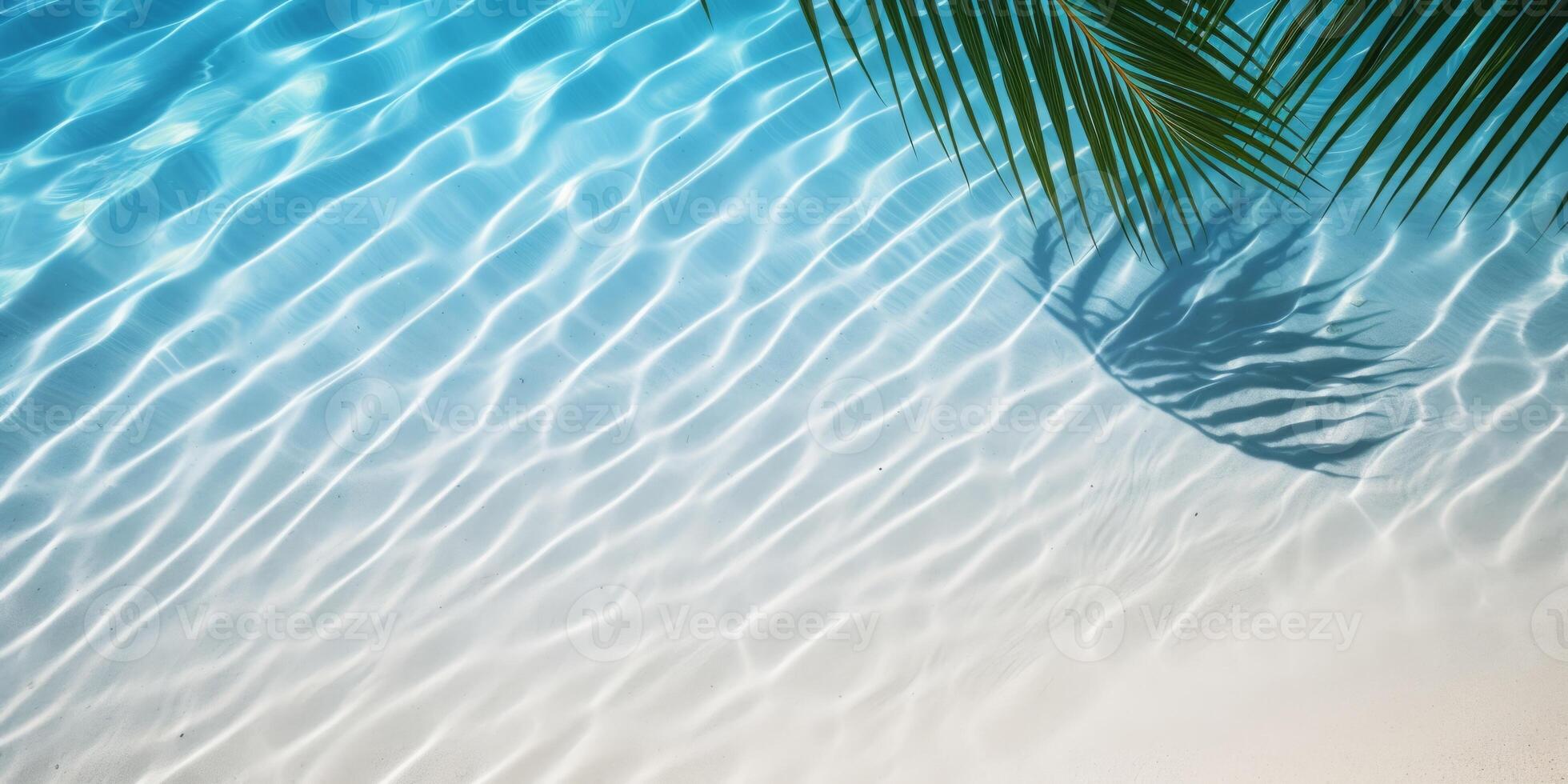palm leaves on the water top view tropics photo