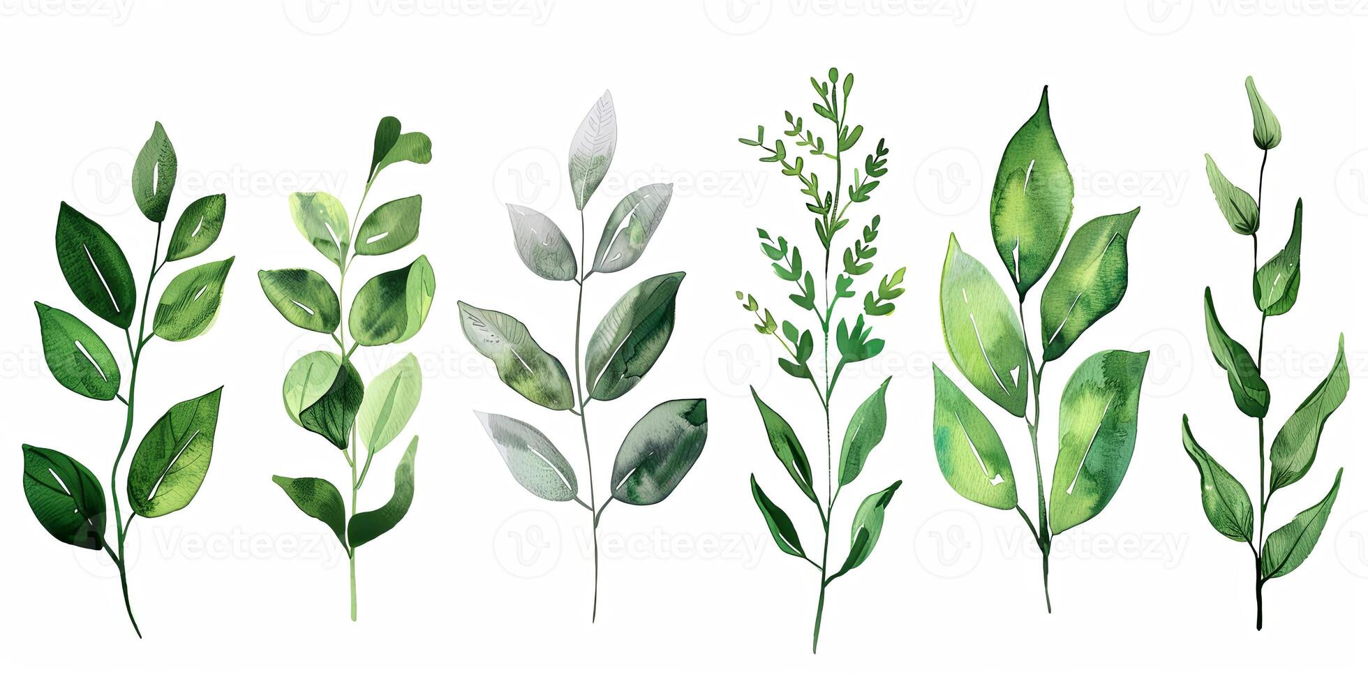 Botanical Florals background photo