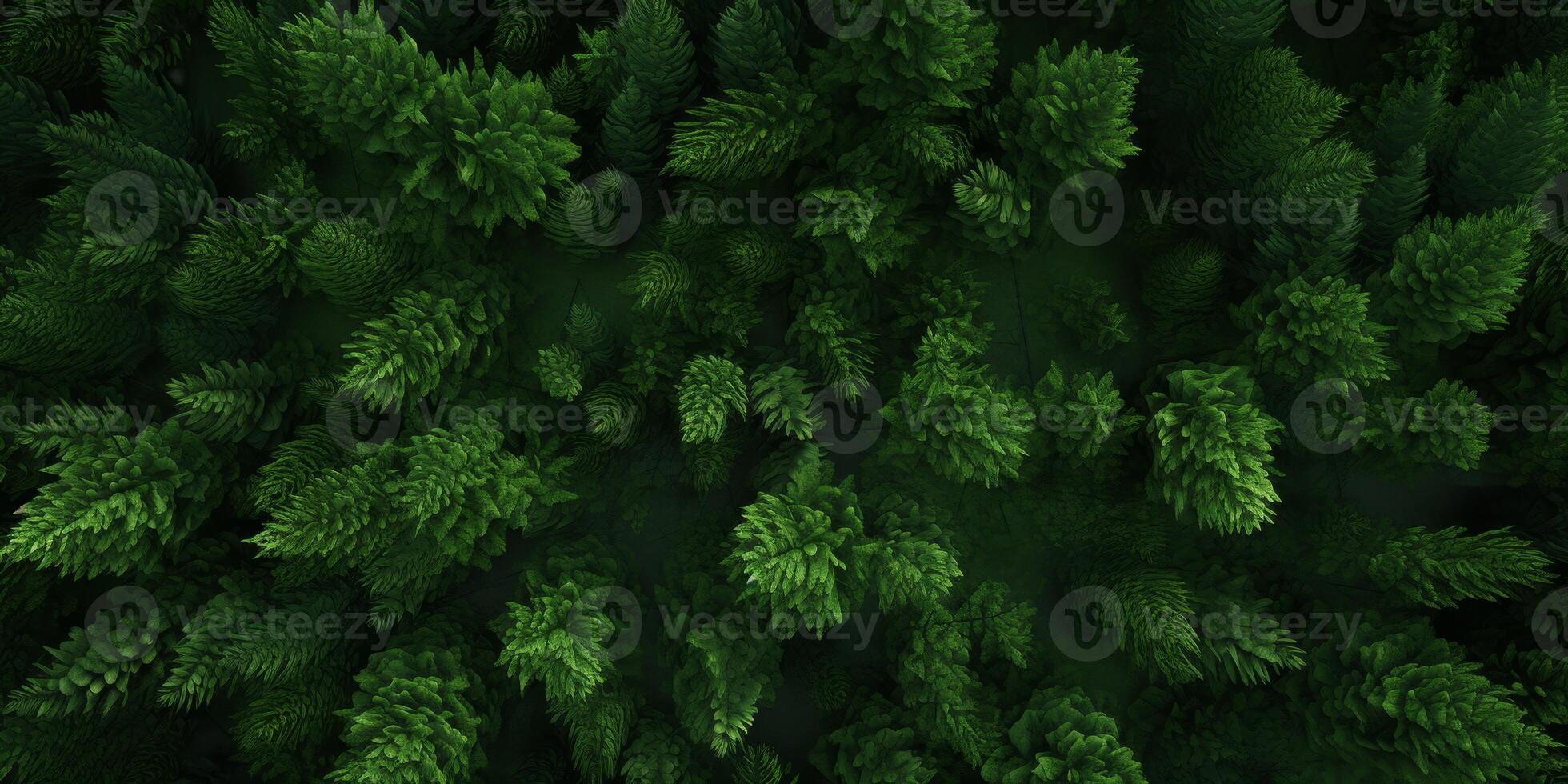 tree tops of a green forest bird's eye view photo