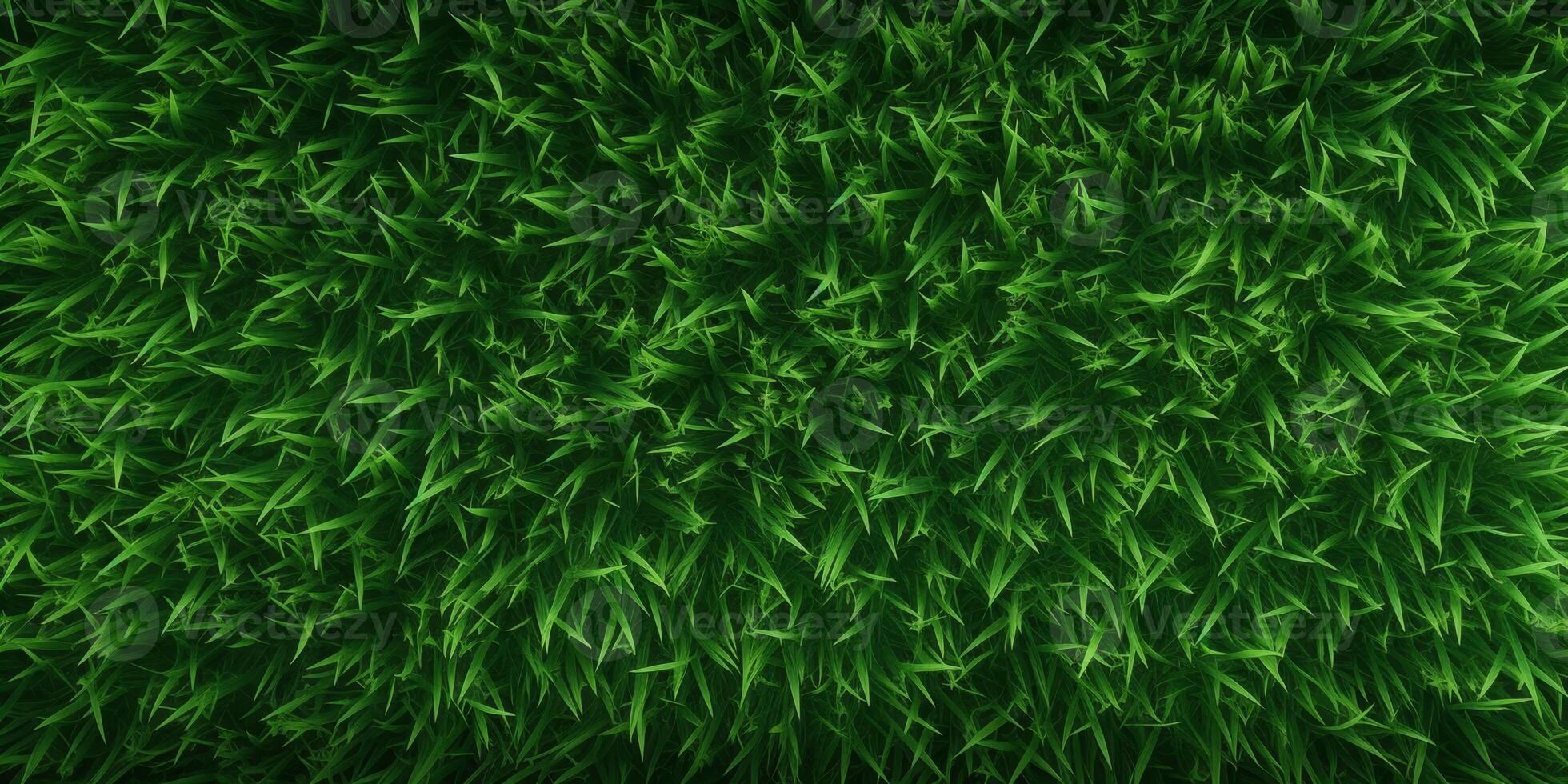 Green grass top view photo