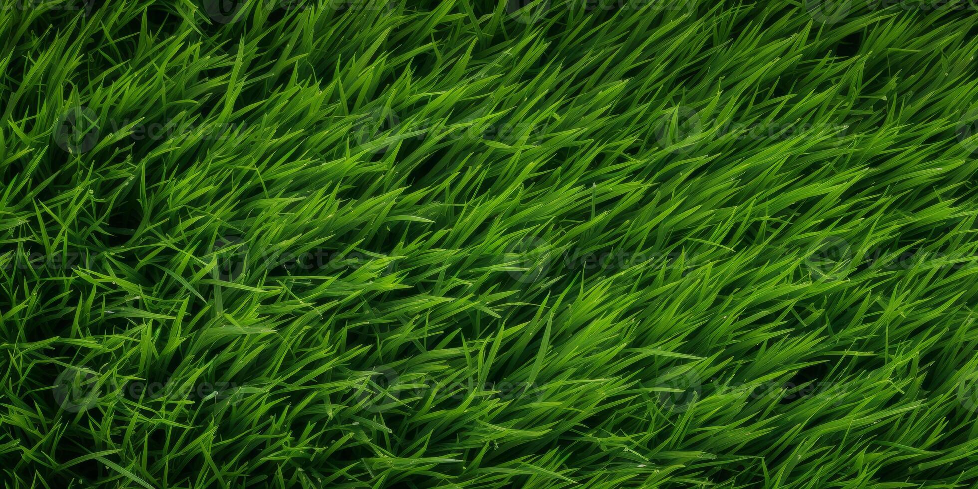 Green grass top view photo