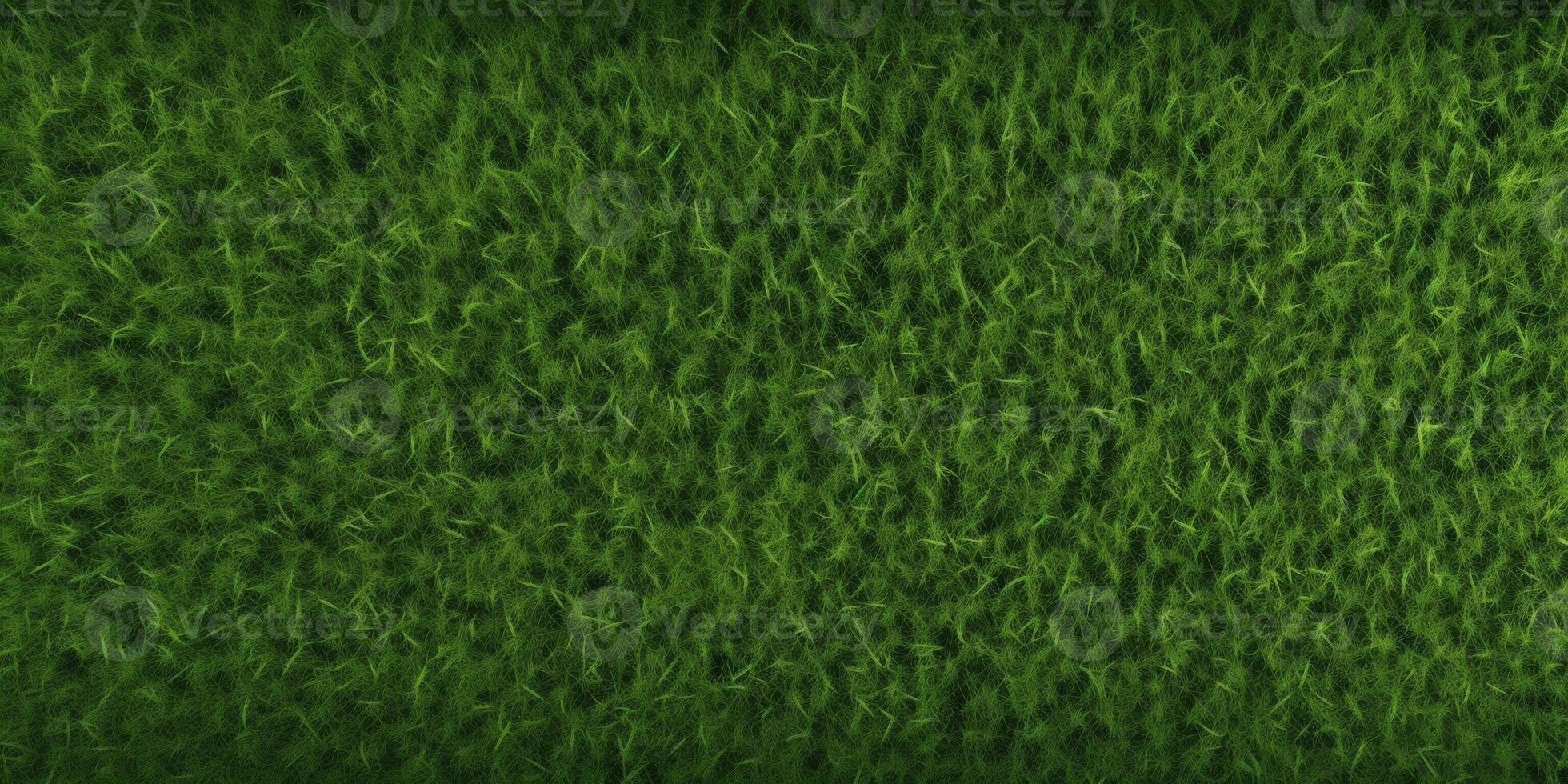 Green grass top view photo
