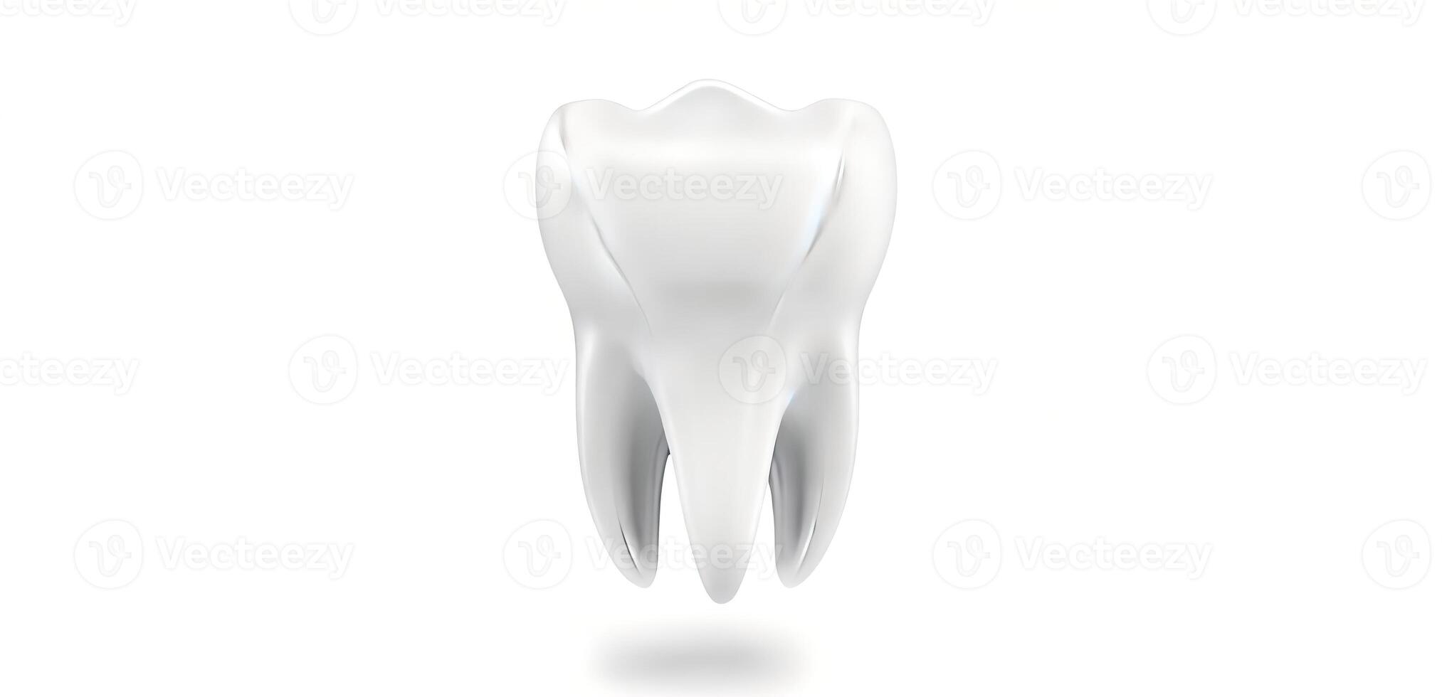 White tooth on a white background banner photo