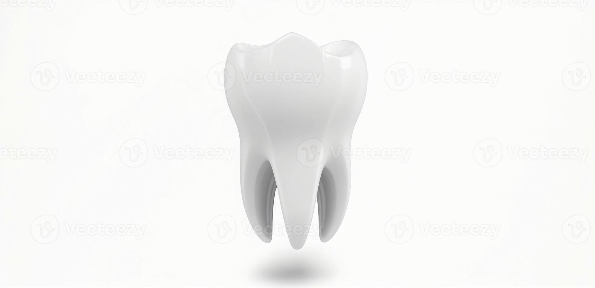 White tooth on a white background banner photo