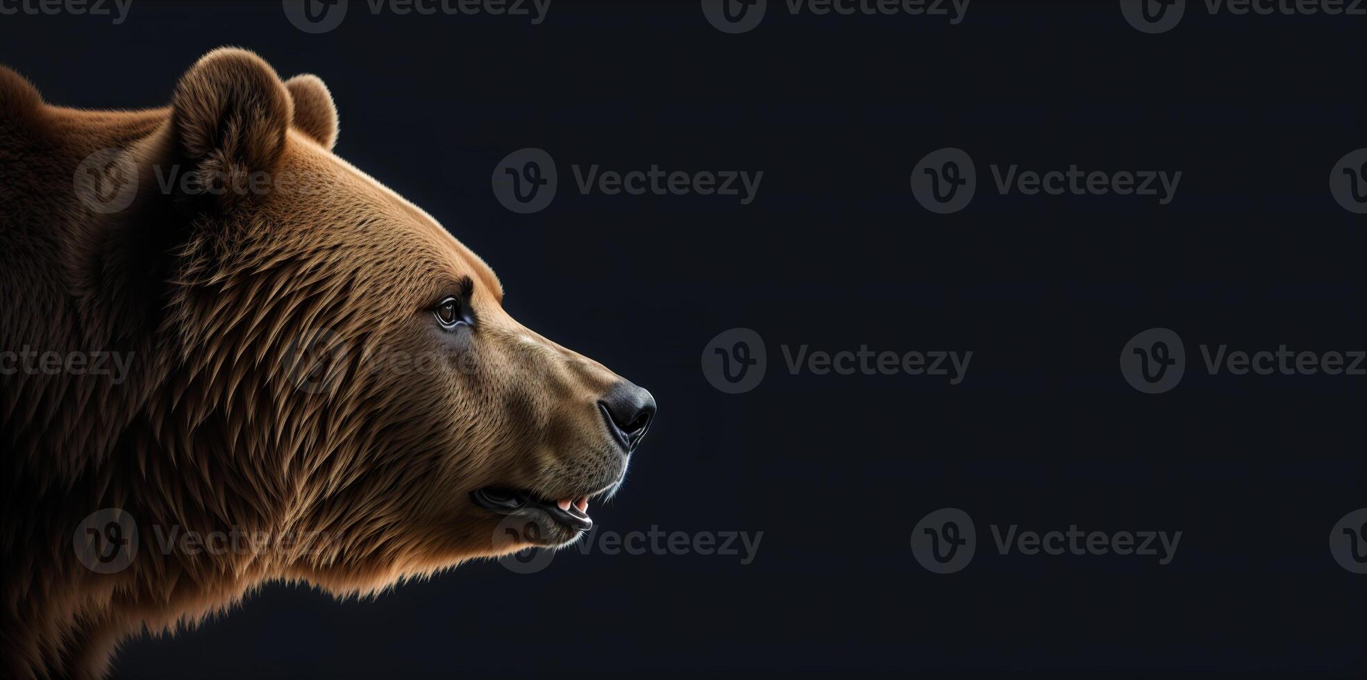 bear head in profile on a black background banner photo