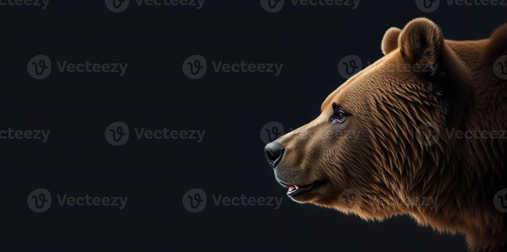 bear head in profile on a black background banner photo