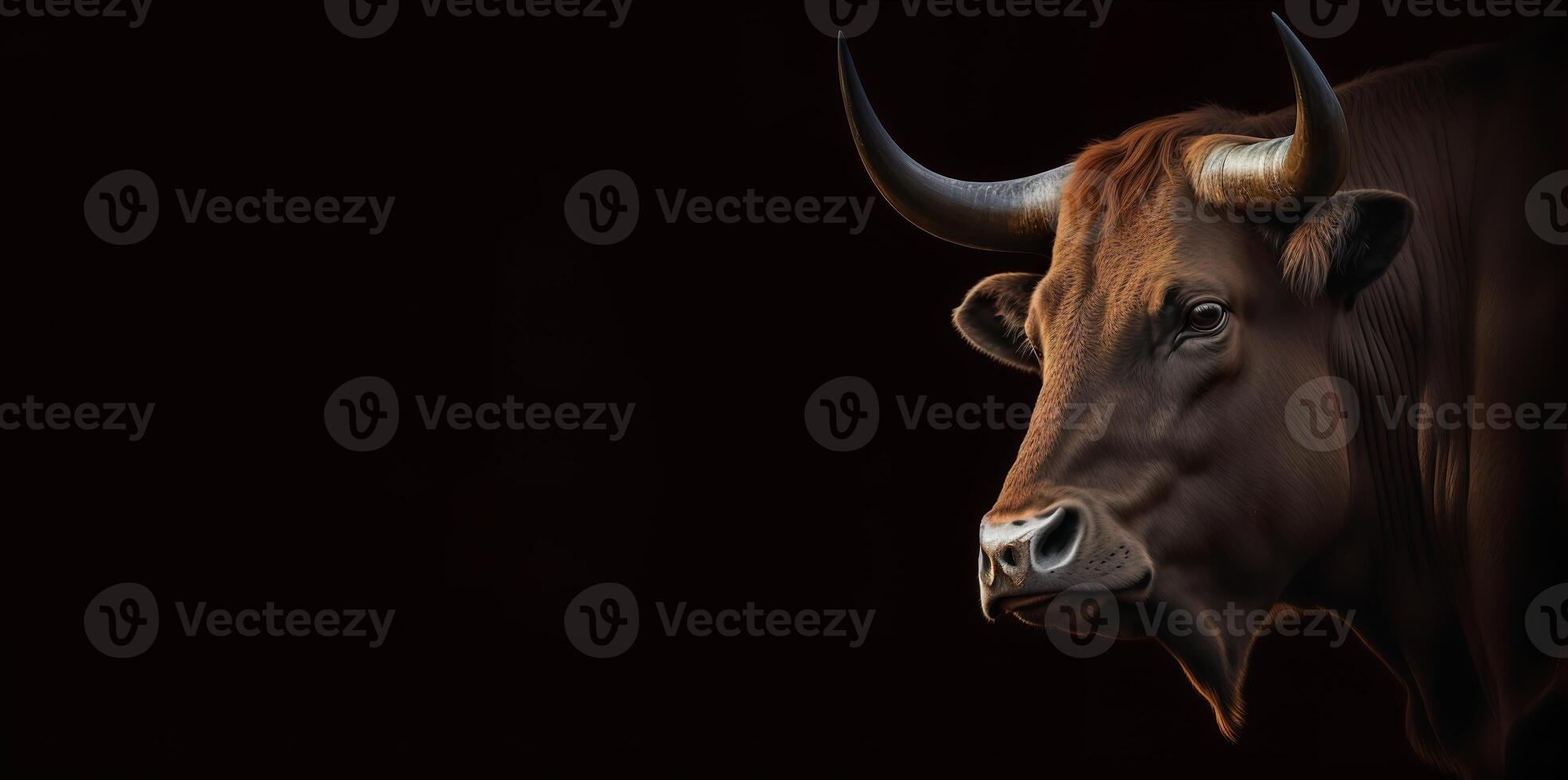 bull's head in profile on a black background banner photo