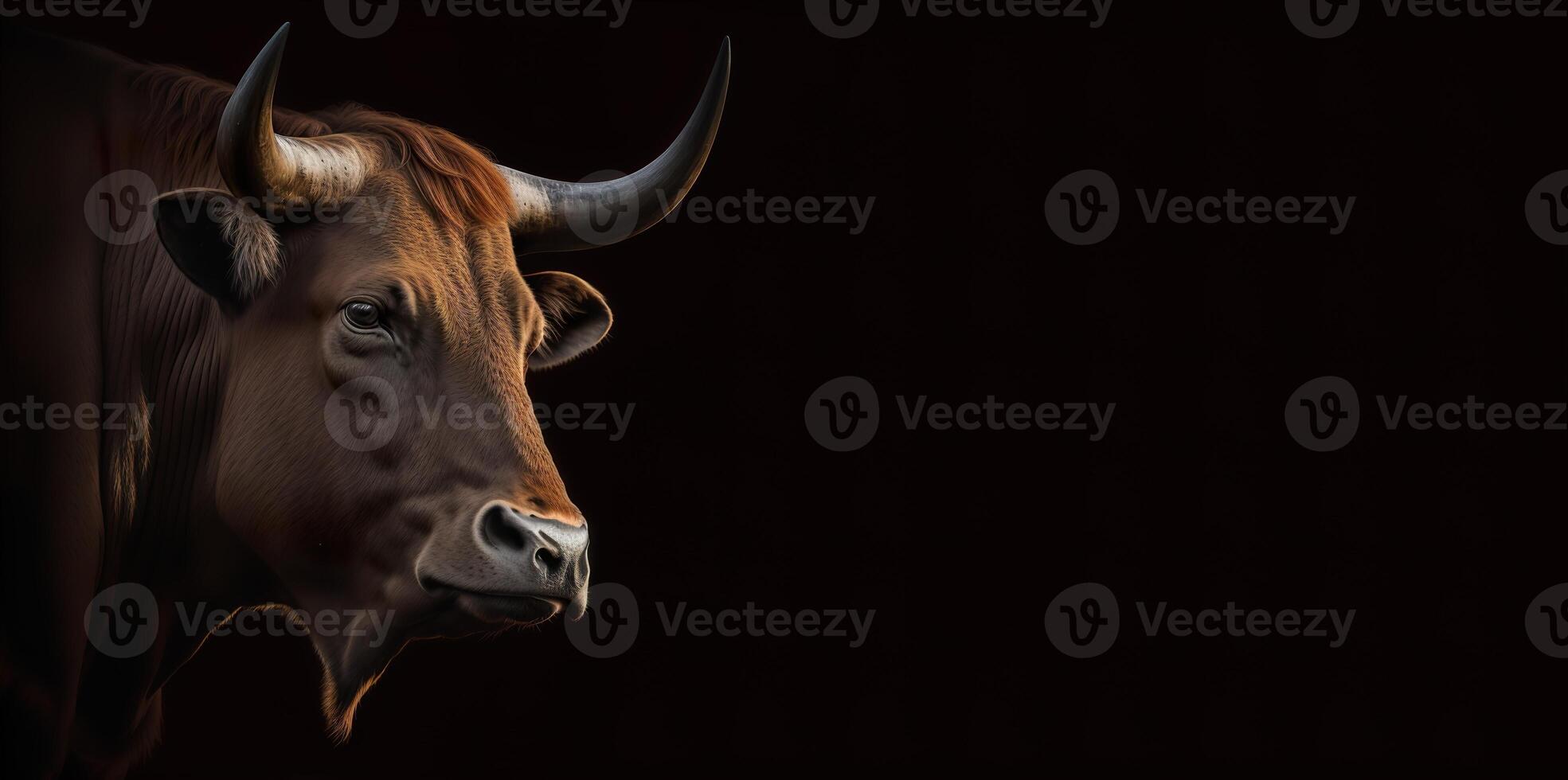 bull's head in profile on a black background banner photo