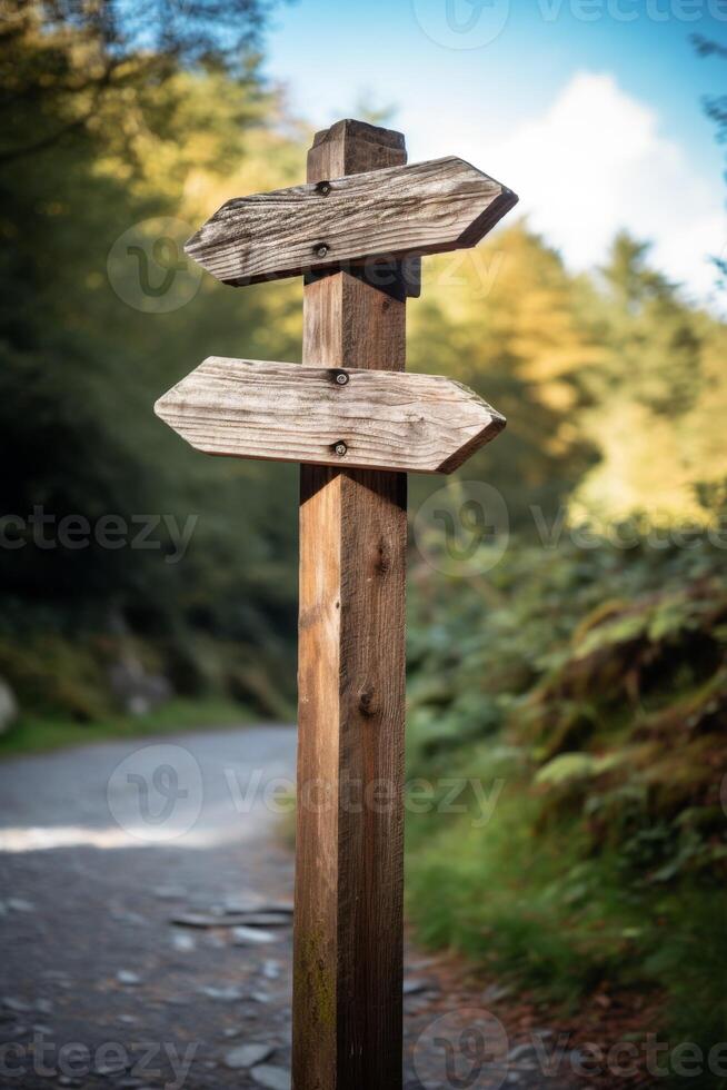 empty wooden direction signs photo