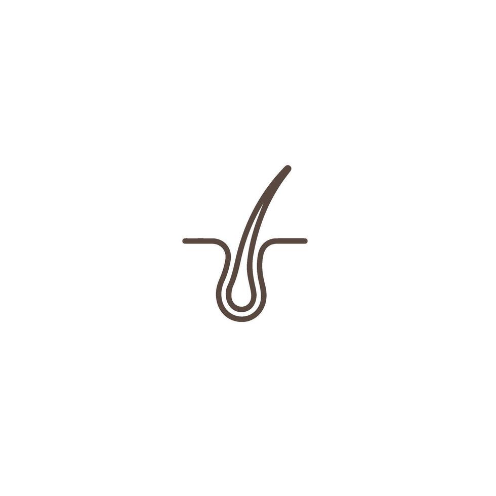 hair folicle icon vector