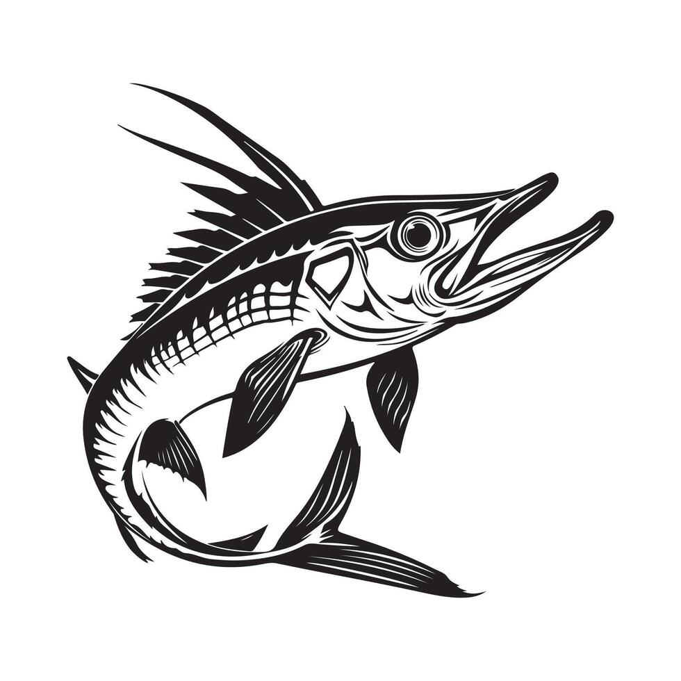 barracuda pescado diseño ilustración en blanco antecedentes vector