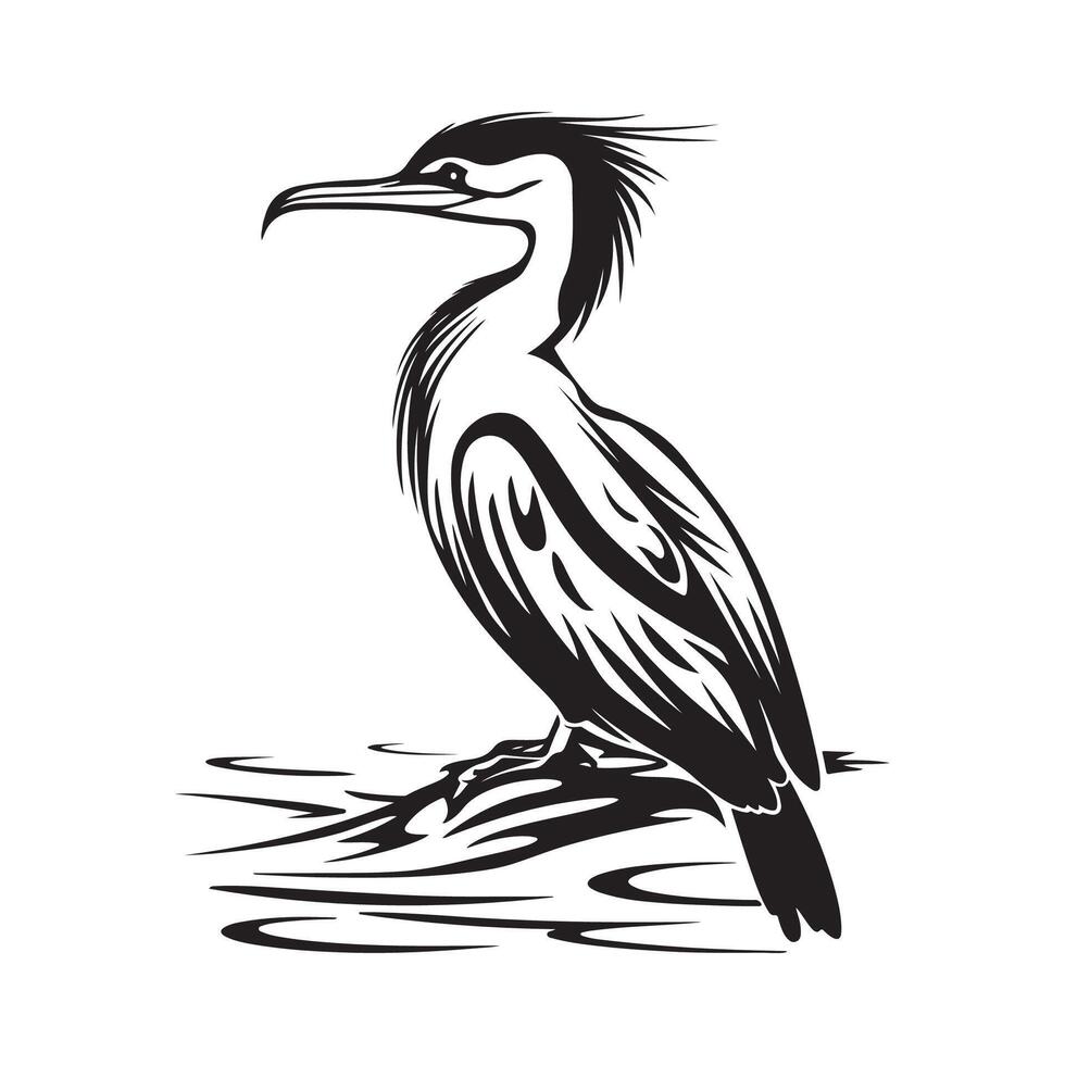 cormorán diseño arte, iconos, y gráficos vector