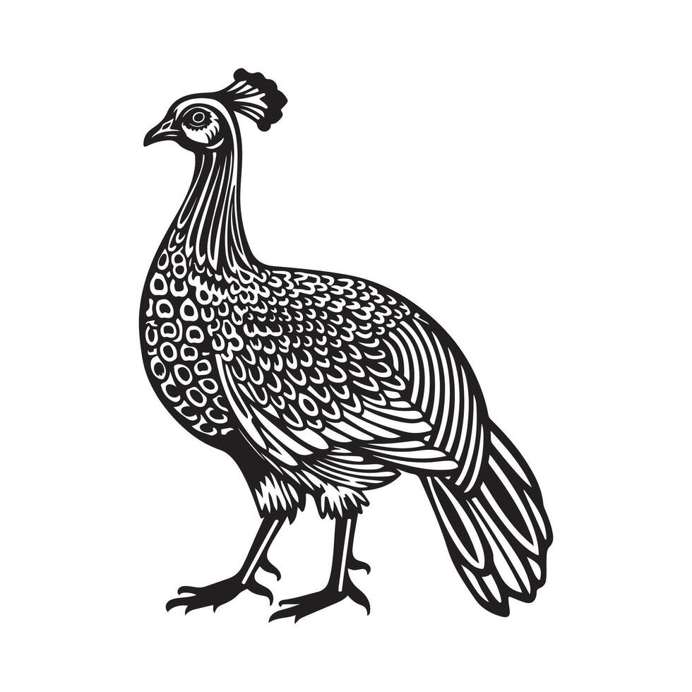 Guinea Fowl Design Art, Icons, and Graphics isolated on white vector