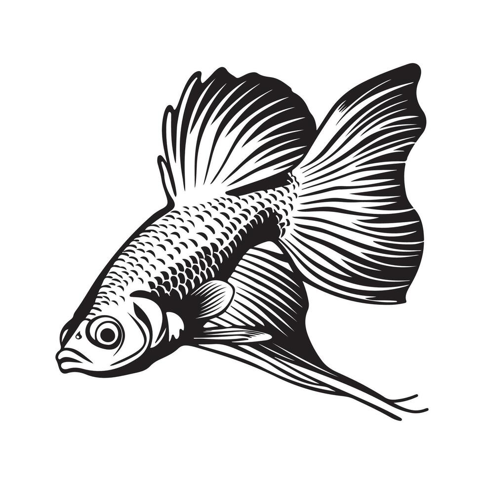 Guppy Fish Image isolated on white background. black and white Guppy Fish vector