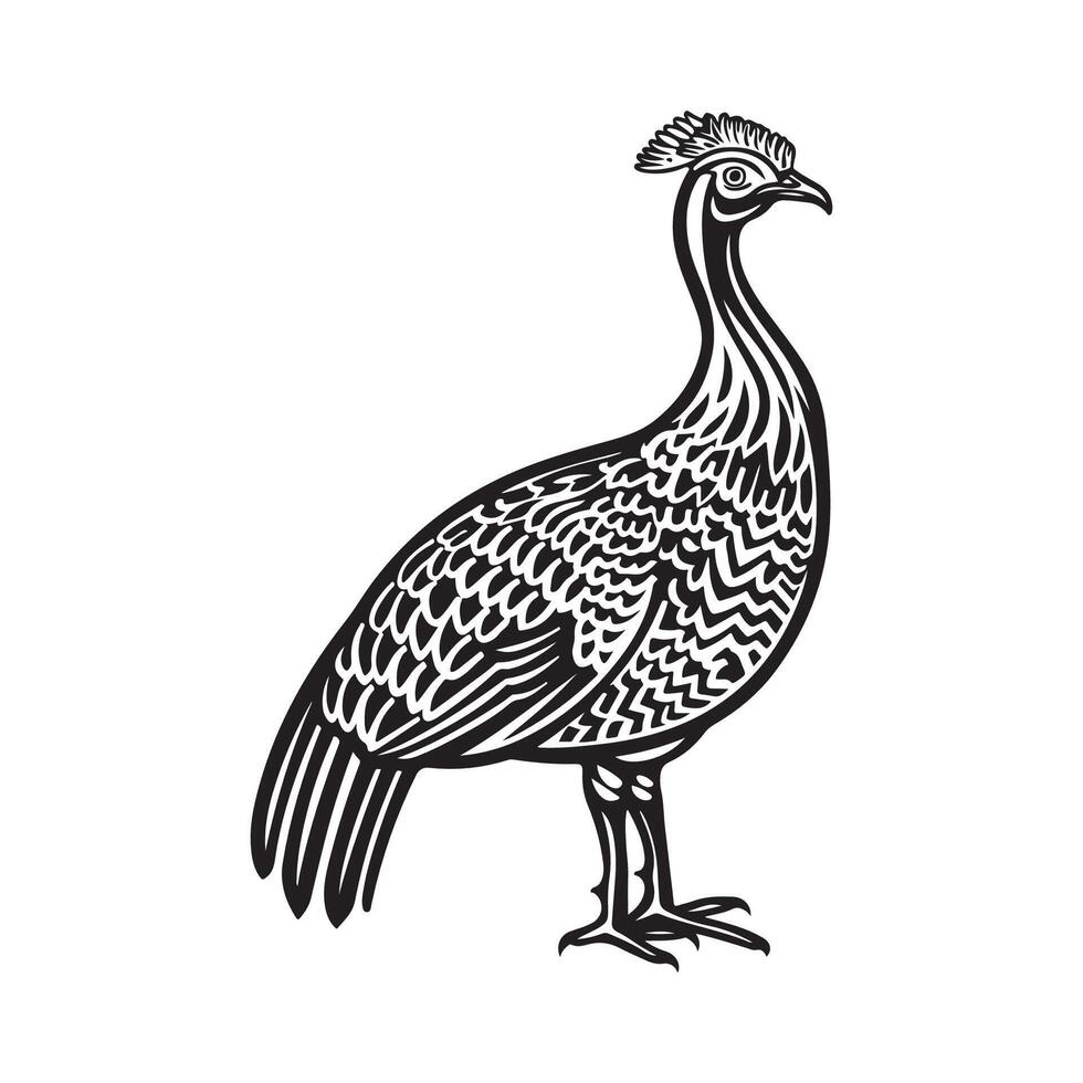 Guinea Fowl Design Art, Icons, and Graphics isolated on white vector