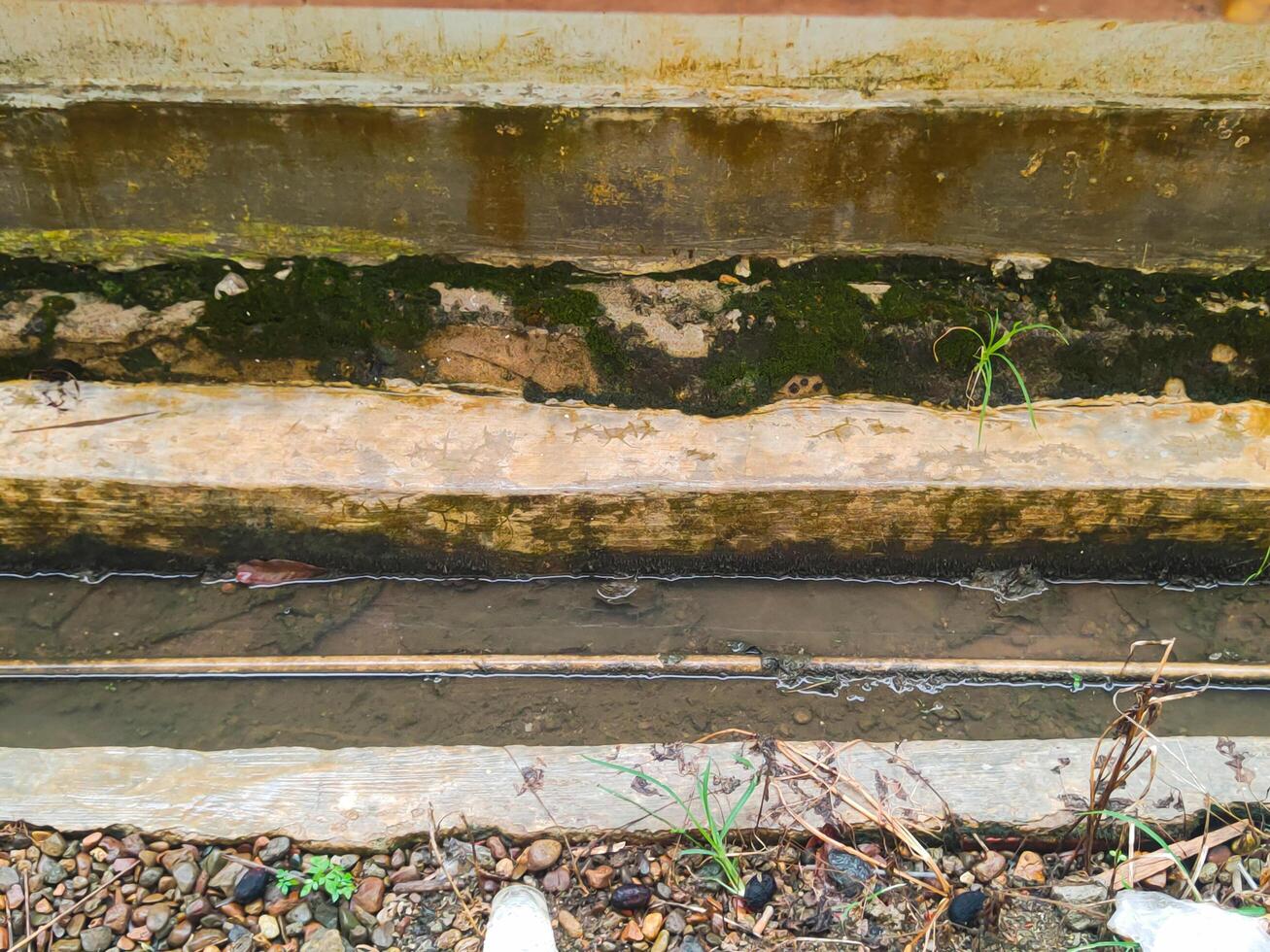 Photography of a dirty, filthy ditch full of moss photo