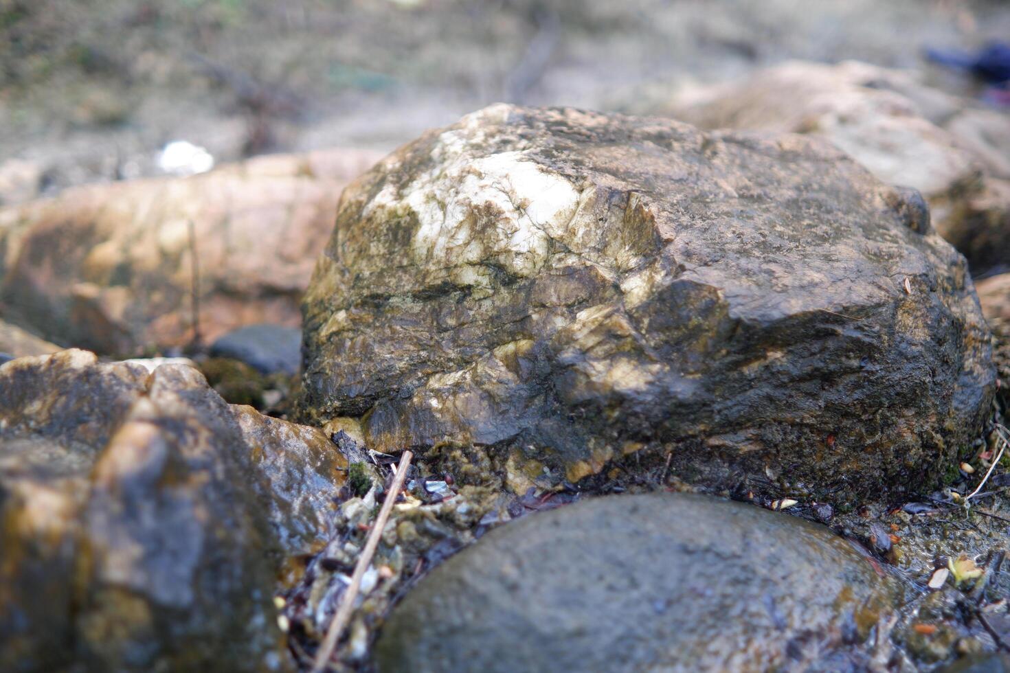 Photography of close up of white mossy rocks in the river photo