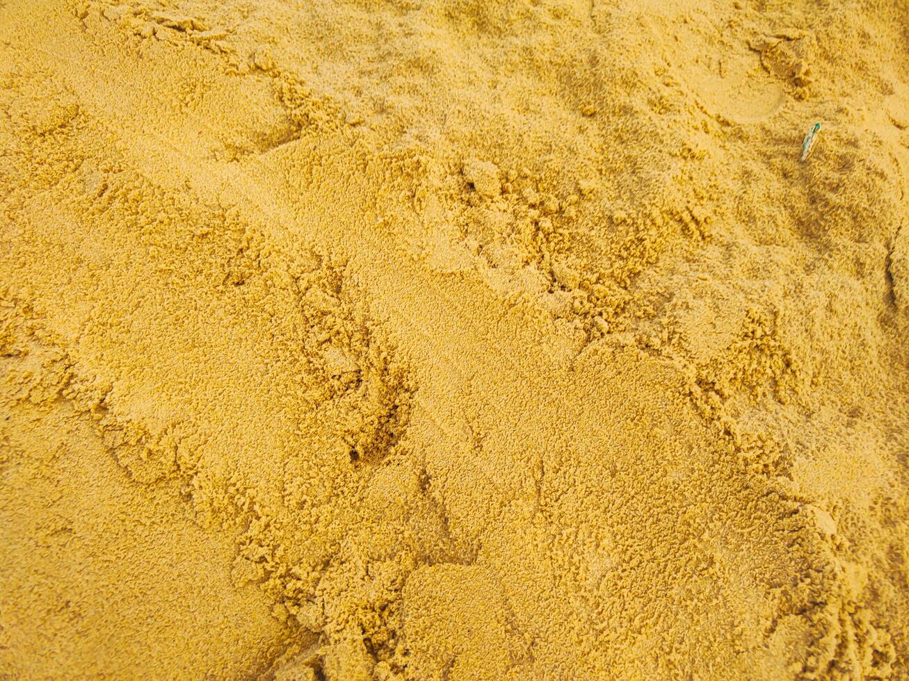 photography of beach sand background texture in summer photo