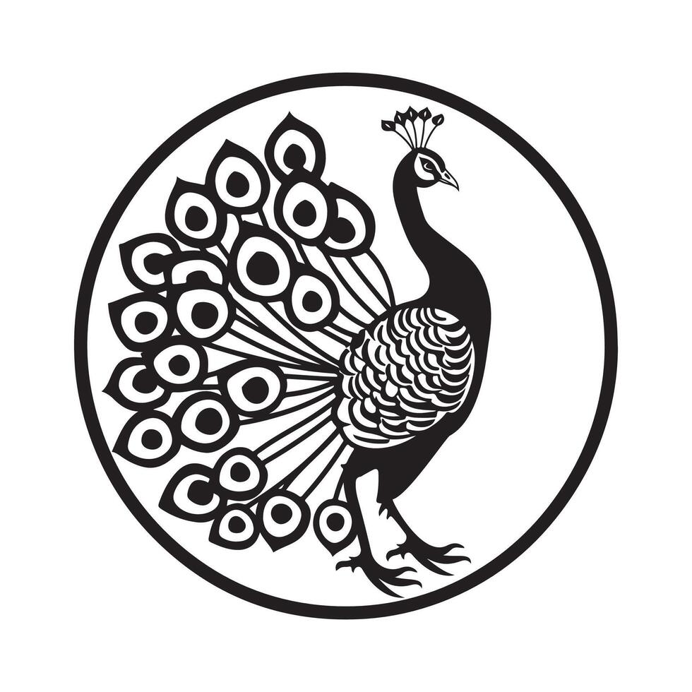 Peacock Logo Design on White Background vector